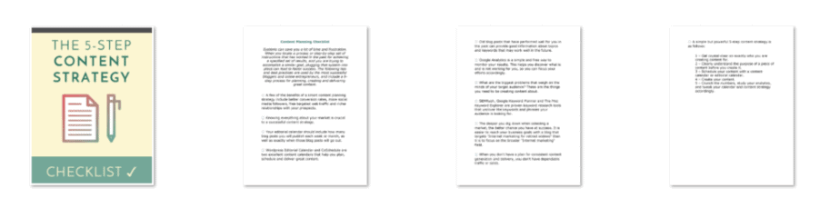 Content Planning PLR Checklist Inside Look Content Planning PLR Checklist Inside Look