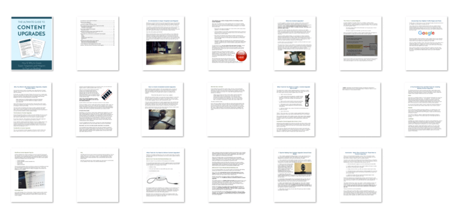 Lead Magnet Creation PLR eBook Screenshot Lead Magnet Creation PLR eBook Screenshot