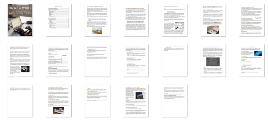 Epic Blog Posts Premium Premium PLR Package | Blogging PLR Pack