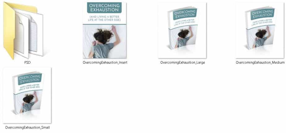 Exhaustion Premium PLR Ecovers