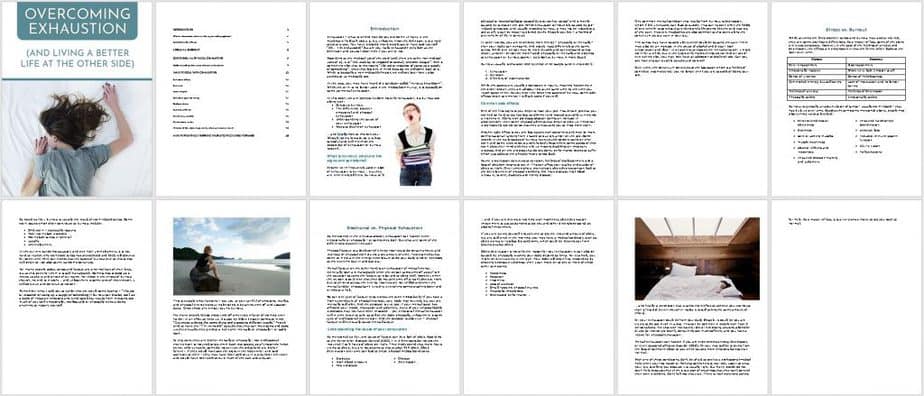 Exhaustion Premium PLR Ebook Sneak Preview