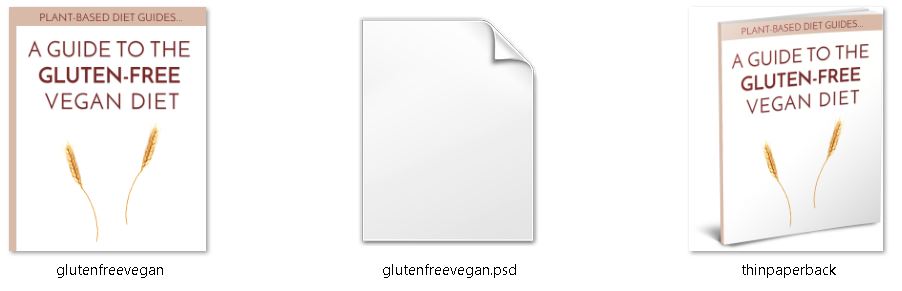 Gluten Free PLR Editable Ecover Files