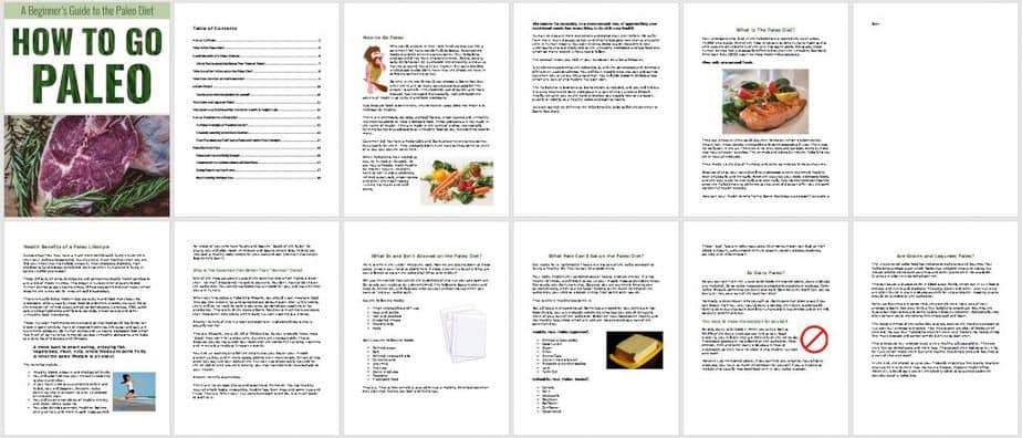 Go Paleo Premium PLR Ebook Sneak Preview