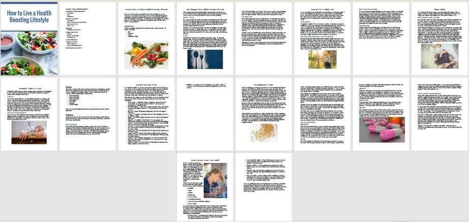 Healthy Lifestyle Premium PLR Ebook Sneak Preview