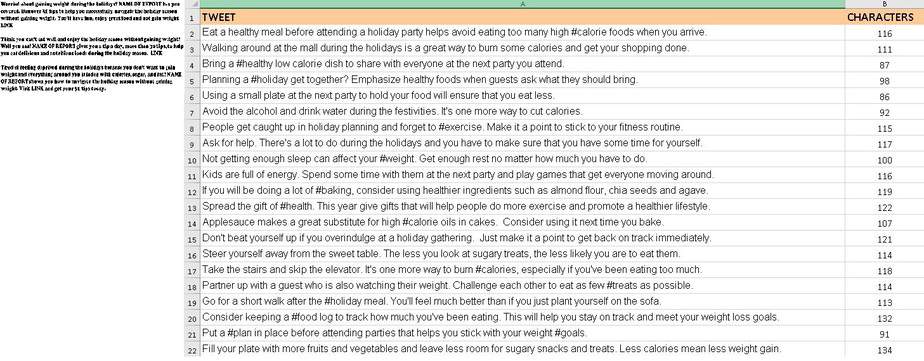 Healthy Happy Holidays Premium PLR Package | Healthy Holidays PLR