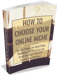 How to Choose an Online Niche PLR Ebook