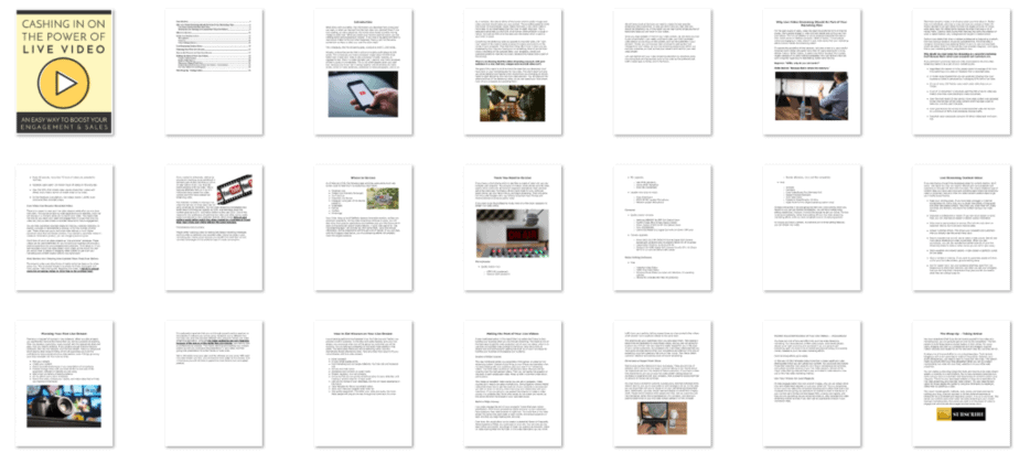 Live Streaming Video PLR eBook Live Streaming Video PLR eBook