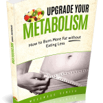 Boost Your Metabolism Premium PLR Ebook