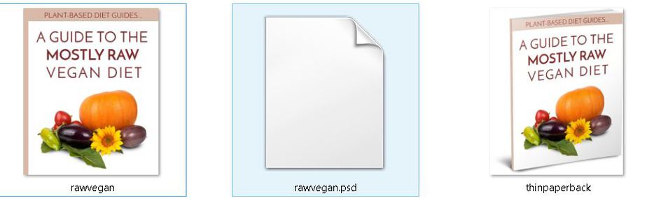 Mostly Raw Editable Ecover Files