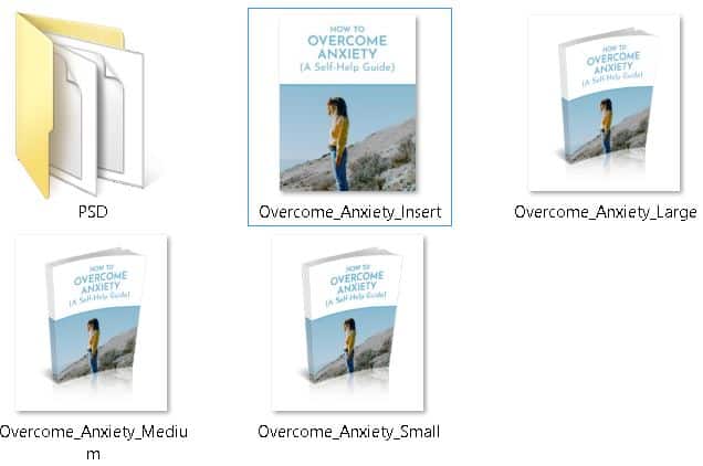 Overcoming Anxiety Premium PLR Ecovers