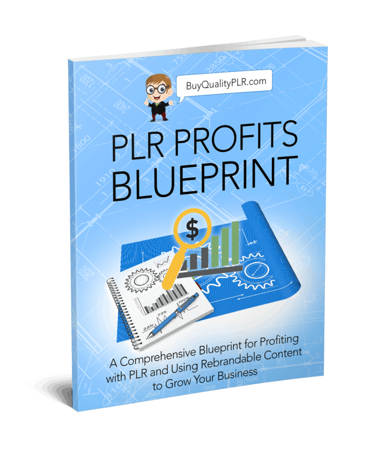 PLR Profits Blueprint