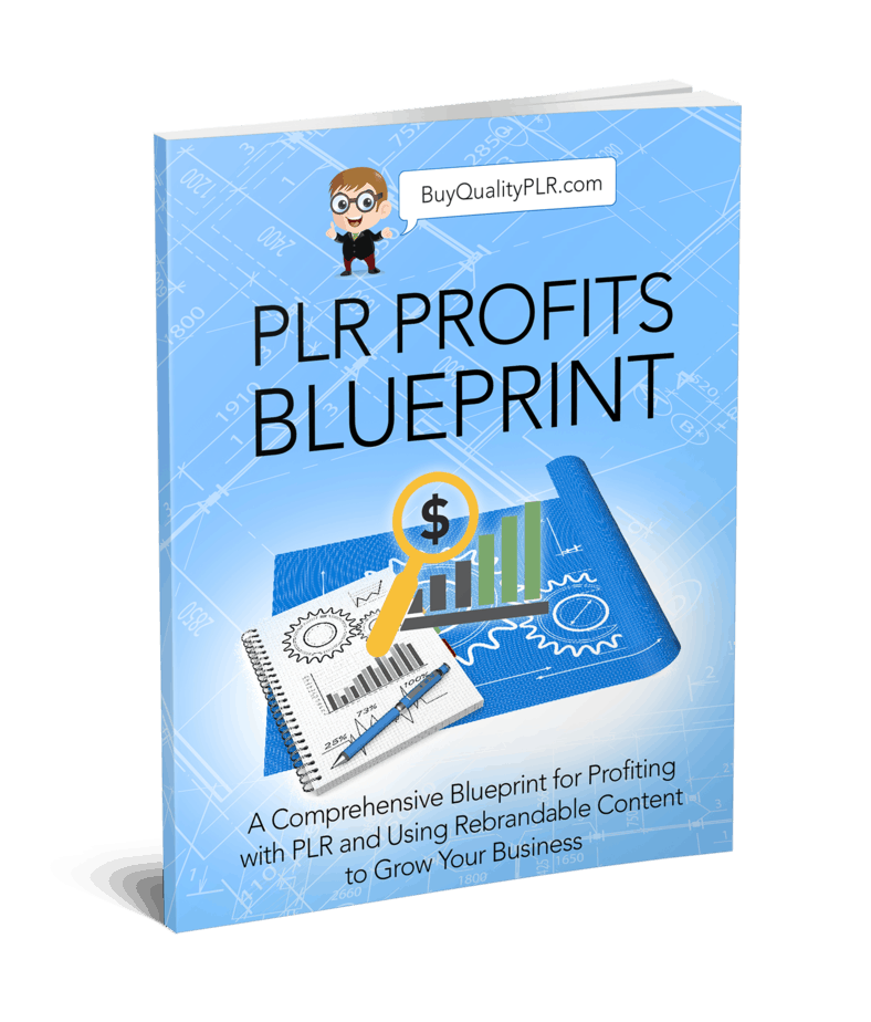 PLR Profits Blueprint