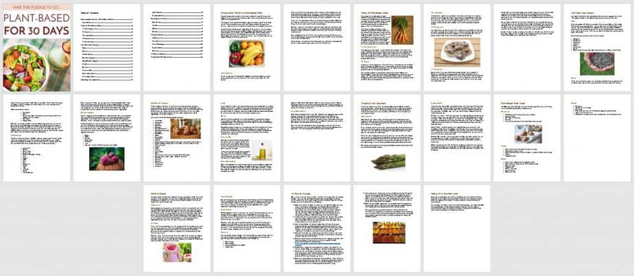 Plant Based Diets Premium PLR Ebook Sneak Preview