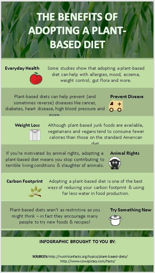 Plant Based Diets Premium PLR Infographics