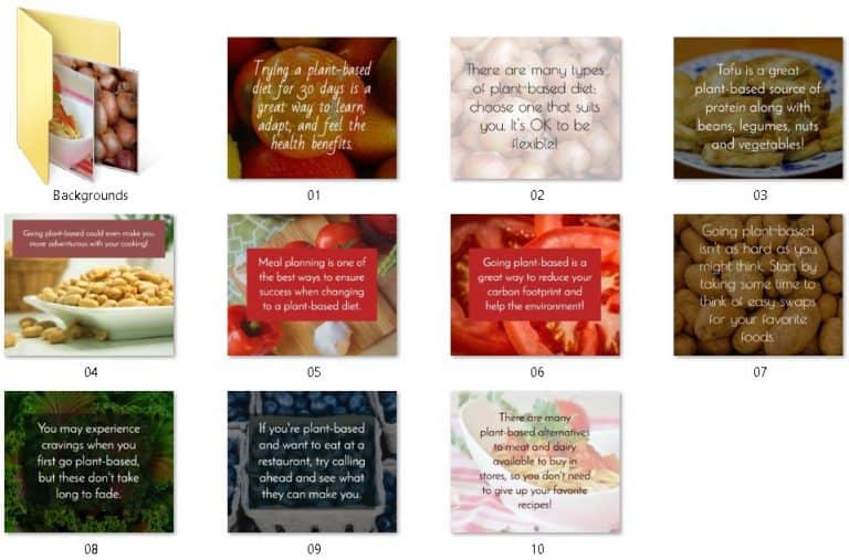 Plant Based Diet Premium PLR Package | Plant Diet PLR Pack