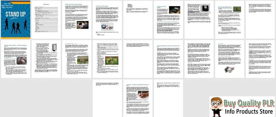 Stand Up PLR Ebook Sneak Preview