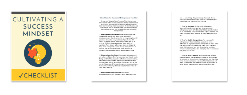 Success Mindset PLR Checklist Inside Look Success Mindset PLR Checklist Inside Look