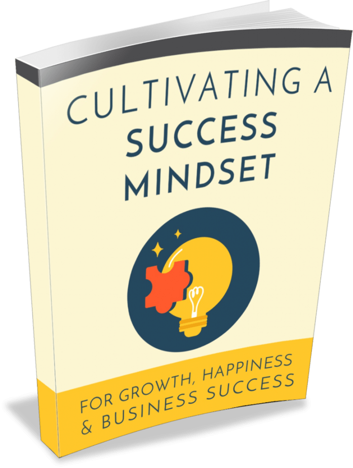 Success Mindset PLR eBook Success Mindset PLR eBook