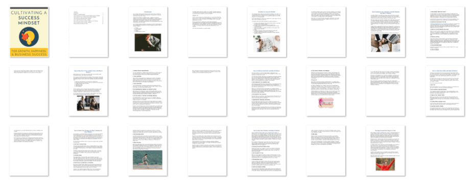 Success Mindset PLR eBook Inside Look Success Mindset PLR eBook Inside Look