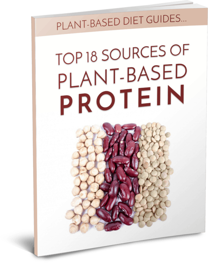 Plant Based Protein PLR Report