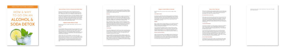 Alcohol and Soda Mini Guides Inside Look