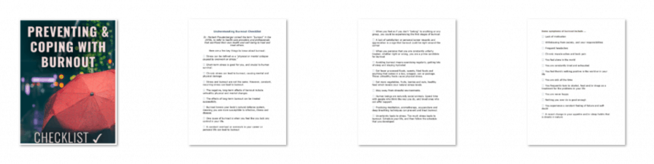 Burnout PLR Checklist Inside Look Burnout PLR Checklist Inside Look