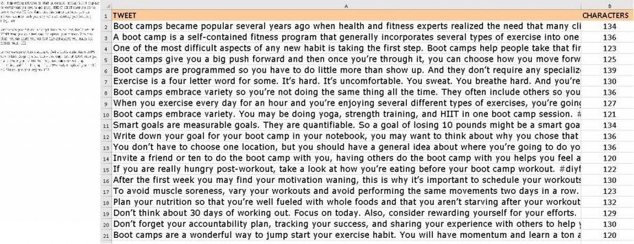 DIY Fitness Bootcamp Premium PLR Social Media Tweets DIY Fitness Bootcamp Premium PLR Social Media Tweets