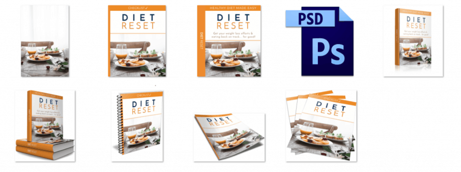 Diet Reset PLR Ecovers