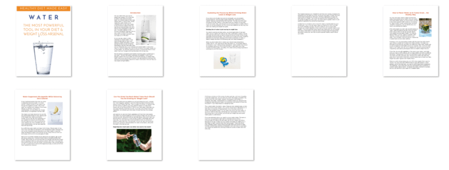 Diet Reset PLR Short Report Inside Look