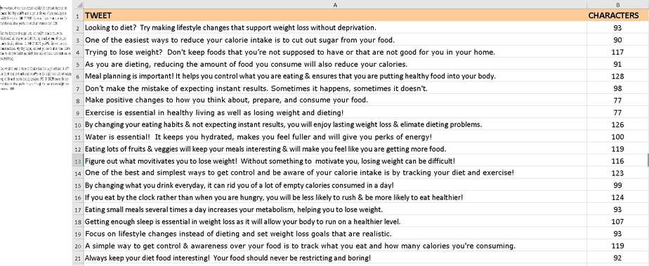 Diet and Weight Loss Mistakes Premium PLR Package | PLR Diet Course