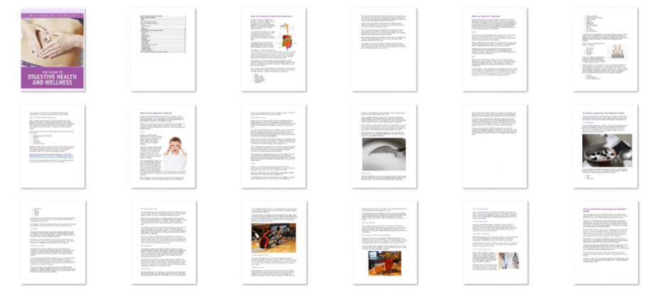 Digestive Health Wellness PLR Ebook Inside Look Digestive Health Wellness PLR Ebook Inside Look