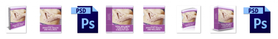 Digestive Health Wellness PLR Editable Ecovers