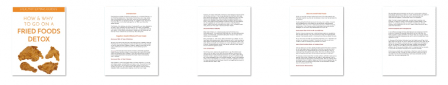 Fried Foods Mini Guides Inside Look