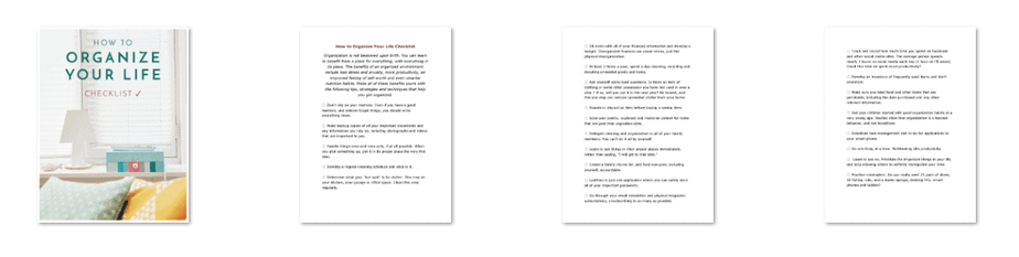 Get Organized Premium PLR Package 36k Words | Life Organization PLR