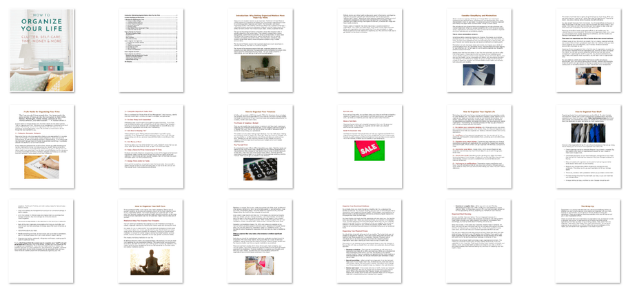 Get Organized Premium PLR Package 36k Words | Life Organization PLR