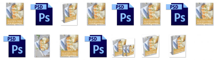 Gluten Free PLR Editable Ecovers