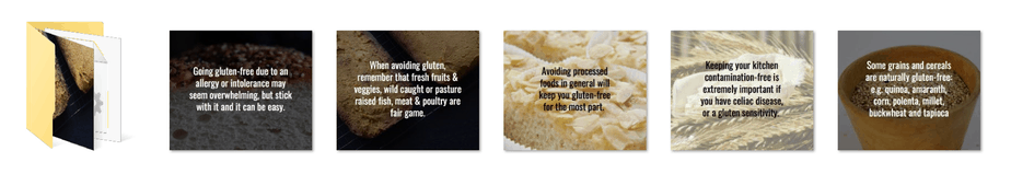 Gluten Free Premium PLR Package 25k Words | PLR Gluten Free Course