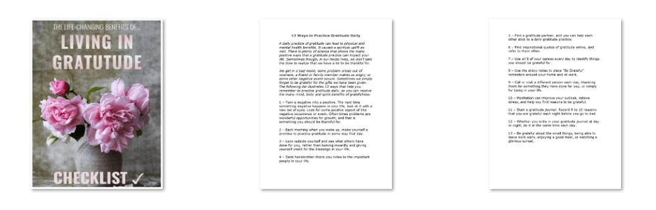 Gratitude PLR Checklist Inside Look