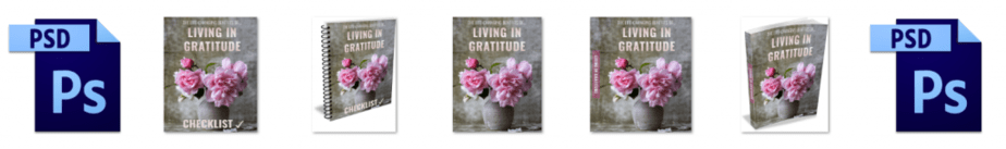 Gratitude PLR Editable Ecovers