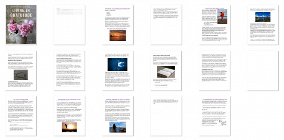 Gratitude PLR eBook Inside Look