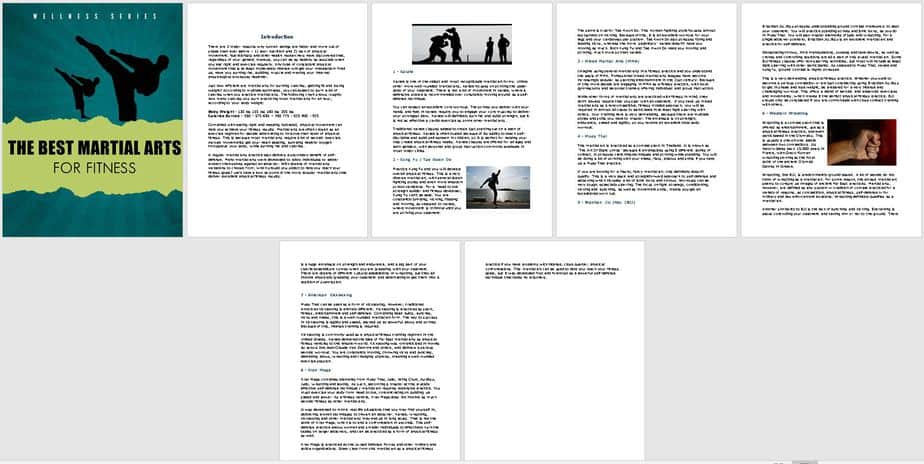 Martial Arts Fitness Premium PLR Package | High Quality Martial Arts PLR