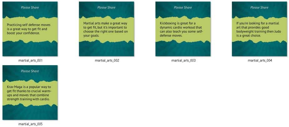 Martial Arts Fitness Premium PLR Package | High Quality Martial Arts PLR