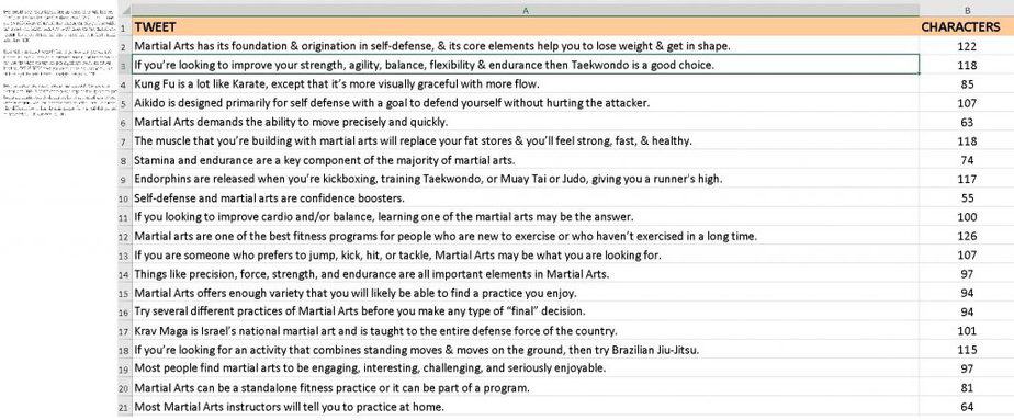 Martial Arts Premium PLR Social Media Tweets