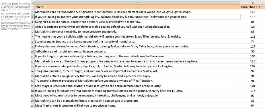 Martial Arts Fitness Premium PLR Package | High Quality Martial Arts PLR