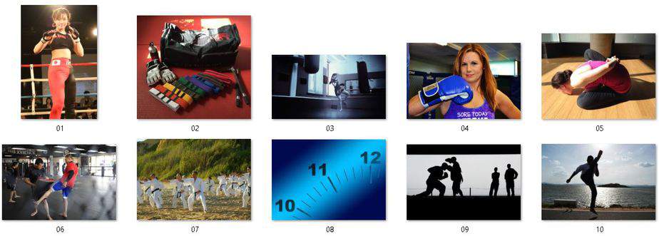 Martial Arts Fitness Premium PLR Package | High Quality Martial Arts PLR