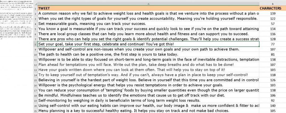 Mental Side of Weight Loss Premium PLR Social Media Tweets