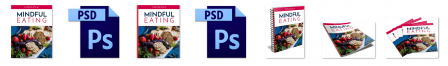 Mindful Eating Checklist PLR Editable Ecovers Mindful Eating Checklist PLR Editable Ecovers