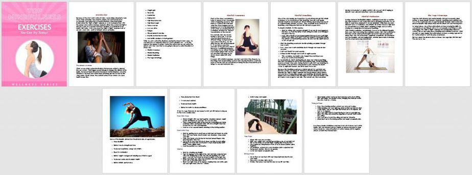 Mindful Fitness Premium PLR Report Sneak Preview Mindful Fitness Premium PLR Report Sneak Preview