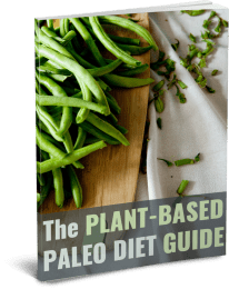 Plant Based Paleo PLR Ebook