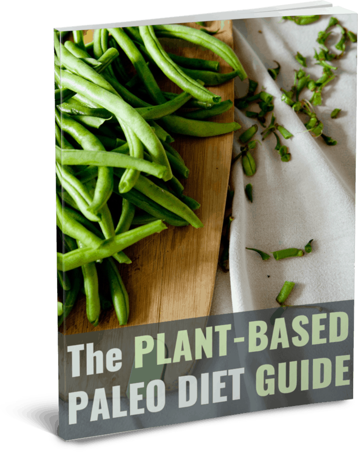 Plant Based Paleo PLR Ebook